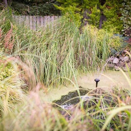 Calm Scottish Country Escape With Hot Tub Sleeps 6 Villa Inverness Exteriör bild